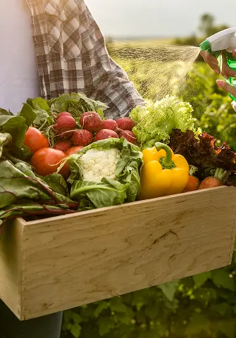 Man carries box with food